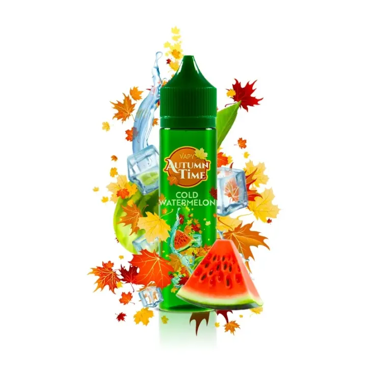 VAPY AUTUMN TIME LONGFILL 10ML o smaku zimnego arbuza