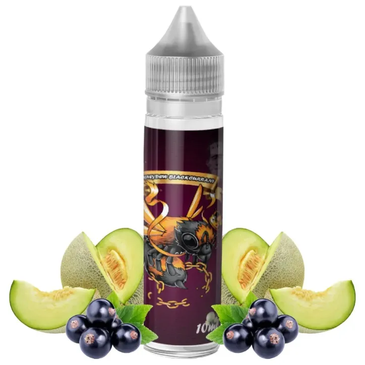 Longfill Franki Juice 10ml o smaku Honeydew i Blackcurrant w butelce 60ml