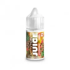 Premix Longfill Freex 10ml - Wild Pineapple-21