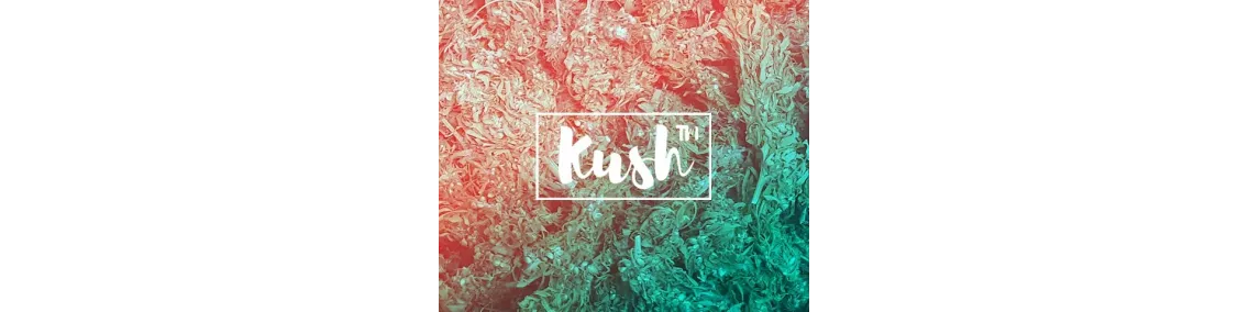 Kush Standard - Odkryj moc wyjątkowych doznań!